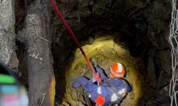 Kuyuya düşen oğlak kurtarıldı