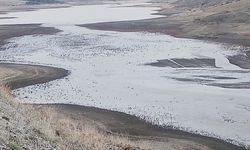 Selevir Barajı su tutmaya başladı