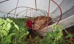 Antalya'da sel ve hortumun ardından heyelanla mücadele