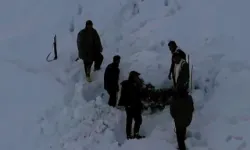 Van'da yasa dışı avcılığa drone destekli müdahale