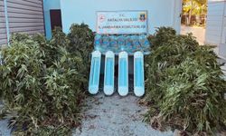 Antalya'da uyuşturucu serasına operasyon