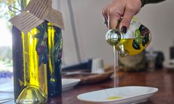 Dr. Kahraman: Tavşan yüreği zeytinyağı, kemoterapi kadar etkili