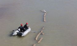 Ayağına misina dolanan martıyı itfaiye eri kurtardı