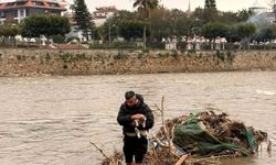 Alanya'da çayda mahsur kalan kedi kurtarıldı