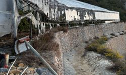 Alanya'da muz serası kundaklandı: 3 tutuklama