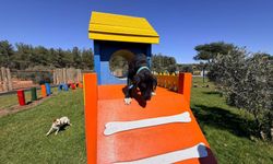 Antalya'da Pati Park hizmete açıldı