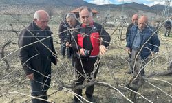 Üreticilere budama eğitimi