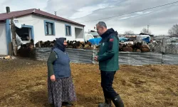 Ağrı Valisi'nden çat kapı! Vali Bozkurt, gününü köylerde geçirdi