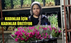 Antalya'da 8 Mart Dünya Kadınlar Günü'ne özel suda lale üretimi