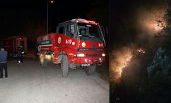 Alanya'da orman yangını büyümeden söndürüldü