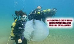 Antalya Körfezi'nde denizanaları kıyıya sürüklendi