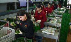 Antalya Hali'nden 64 ülkeye tarım ürünü ihraç ediliyor