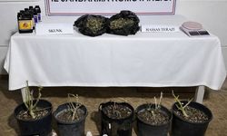 Antalya'da uyuşturucu üretim evine baskın