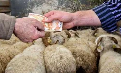 2026 Yılı Kurban Hizmetleri Tebliği 'Resmi'leşti...