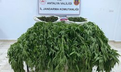 Antalya Serik'te uyuşturucu operasyonu: 1 tutuklu