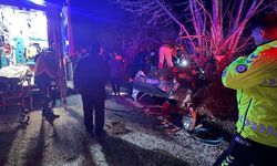 Antalya'da otomobil ağaca çarptı: 2 ölü, 2 yaralı