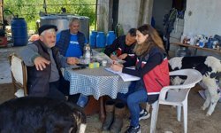 Antalya'da yetiştiriciler buzağı ölümlerine karşı bilgilendirildi