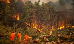 Geçen yıl dikkatsizlik, kasıt ve kazadan 1933 orman yangını çıktı