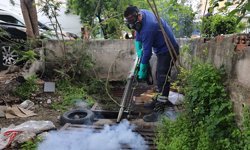 Antalya'da sinek üreme alanlarında yoğun çalışma