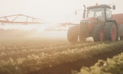 Çiftçiye dev destek... 12,8 milyar lira hesaplara yatırılıyor