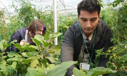 Psikiyatri hastaları hem tedavi görüyor hem para kazanıyor