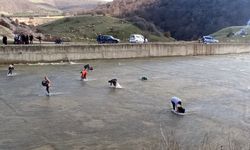 Taşan barajdan çuval ve kasayla balık yakaladılar