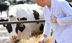 Tarımda maliyet baskısı sürüyor... Girdi fiyatları veteriner harcamaları yine zirvede