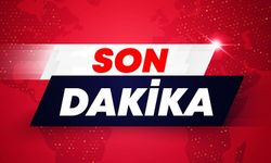 Üretimden dayanışmaya 730 günlük dönüşüm