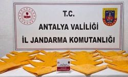 Antalya'da 1 kilo 100 gram uyuşturucu madde ele geçirildi