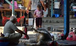 '12 yaşından küçüklere kurban kesimini göstermeyin'