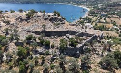 Antik Çağ'da bağcılık ve incir yetiştiriciliği katı kurallara bağlanmış