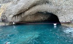 Antalya'da Akdeniz foklarının yaşam alanları koruma altına alınıyor