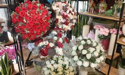 Antalya'da anneye saksı çiçeği, eşlere buket