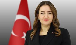 Başkan Vekili Özdemir'in 19 Mayıs mesajı