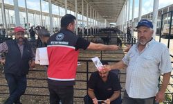 Serik'te kurbanlık satış yerlerinde denetim