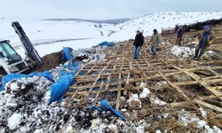 Yağış nedeniyle ağıl çöktü: 6 koyun öldü