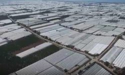 16 bin 716 'topraksız çiftçi', toprak sahibi oldu