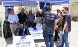 İzmir'de kahverengi kokarca böceğine karşı tuzak