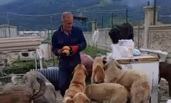 Kendini öğrencilere ve patili canlara adadı