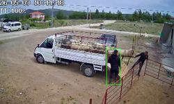 Koçun saldırısına uğrayan besici kamyonetten düştü