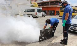 Antalya'nın 19 ilçesinde vektörle yoğun mücadele