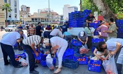 Antalya'da alıcı bulamadığı 4 ton domatesi ücretsiz dağıttı