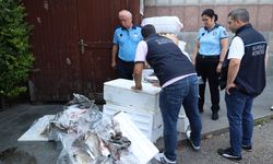 Antalya Otogarı'nda uygunsuz koşullarda taşınan balıklara el konuldu