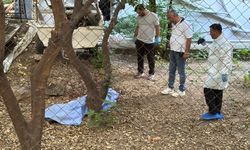 Antalya'da apartman bahçesinde ölü bulundu