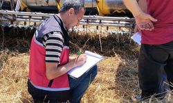 Antalya'da biçerdöverler kontrol ediliyor