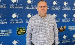 Antalya'da dijital dolandırıcılara suç duyurusu