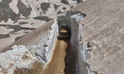 Antalya'da haziranda karla mücadele çalışması