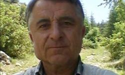 Traktöre bağlayıp sökmek istediği ağaç üzerine devrildi