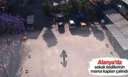 Alanya’da sokak kedilerinin mama kapları çalındı!