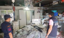 Antalya'da operasyon: 603 Kilogram yasadışı su ürünü ele geçirildi